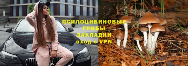 круглые Алзамай