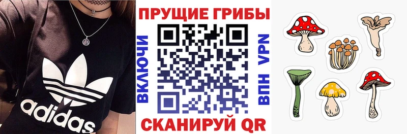 Псилоцибиновые грибы прущие грибы  мориарти телеграм  Каменск-Уральский 